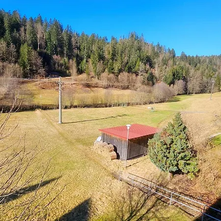 Apartment Schwarzwaldsegen Mit Balkon