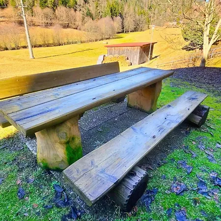 Apartamento Schwarzwaldsegen Mit Balkon