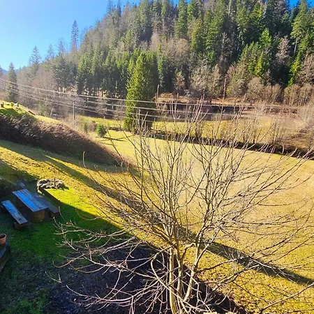 Apartamento Schwarzwaldsegen Mit Balkon *